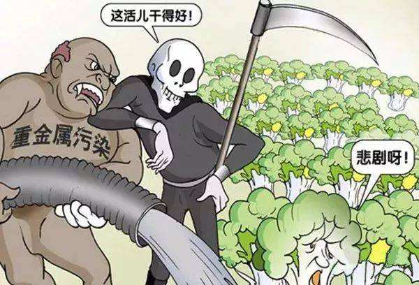 糧食安全如何得到保障？