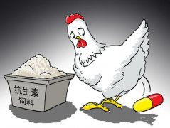 食品抗生素層出不窮，如何檢測(cè)？